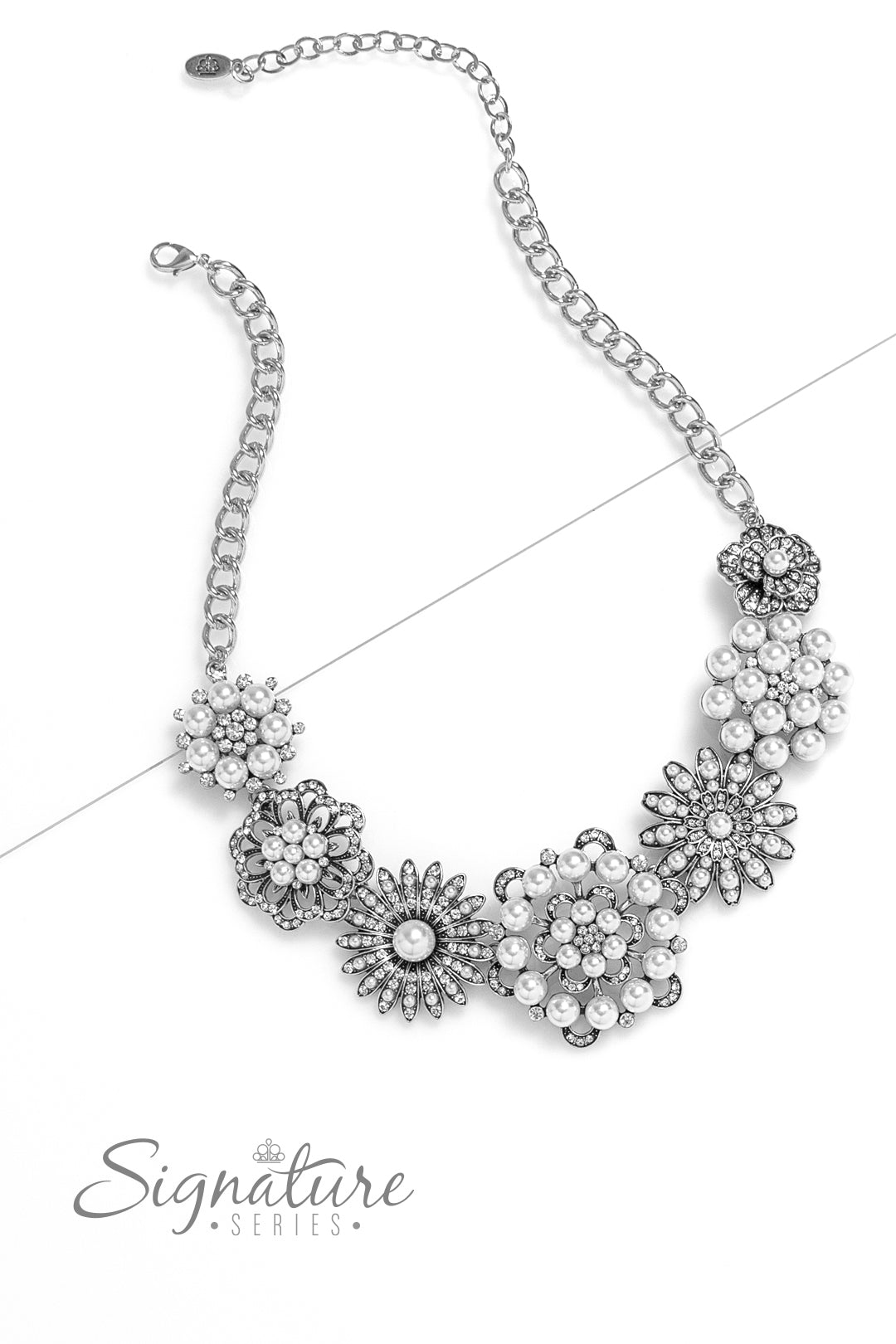 Paparazzi Accessories-The Raven 2023 ZI Signature Necklace Set