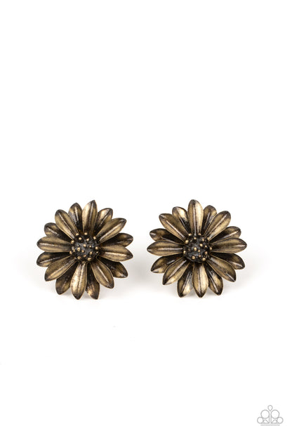 Paparazzi Accessories-Daisy Dilemma Brass Rustic Floral Earrings