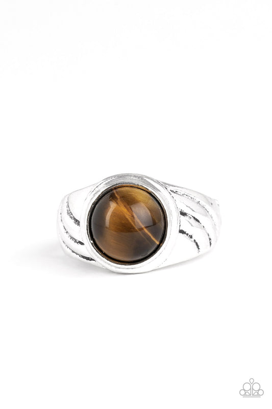 Paparazzi Accessories-Play It Cool Brown Tiger's Eye Stone Men's Ring