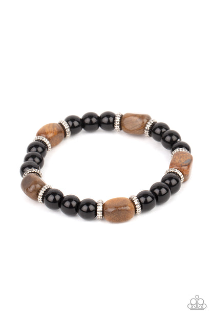 Paparazzi Accessories-Unity Glassy Black and Tiger's Eye Men's Bracelet